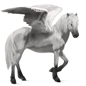 ridpegasus camargue avblekbar skimmel