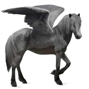 ridpegasus argentinsk criollo körsbärsbrun