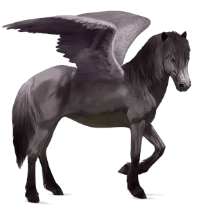 ridpegasus musblack