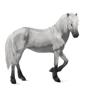 ridhäst lusitano mörkbrun