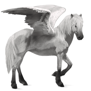 pegasus-ponny shetlandsponny fux tobiano