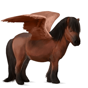 pegasus-ponny shetlandsponny körsbärsbrun