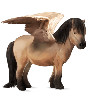 pegasus-ponny kerry bog musblack