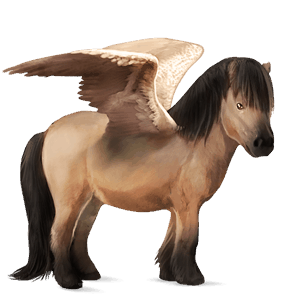 pegasus-ponny shetlandsponny fux