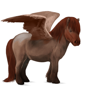 pegasus-ponny fjording brunblack