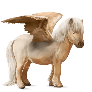 pegasus-ponny shetlandsponny gulvit