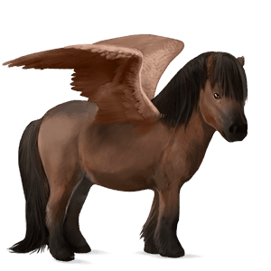 pegasus-ponny brun