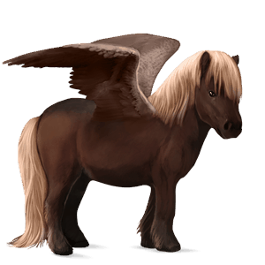 pegasus-ponny shetlandsponny mörk linfux 