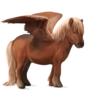pegasus-ponny shetlandsponny linfux 