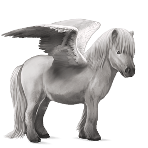 pegasus-ponny shetlandsponny mörkfux tobiano
