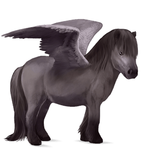 pegasus-ponny shetlandsponny körsbärsbrun