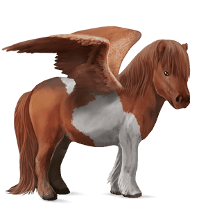 pegasus-ponny shetlandsponny fux tobiano