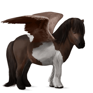 pegasus-ponny shetlandsponny mörkbrun tobiano