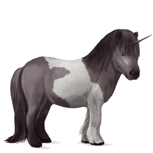 enhörningsponny musblack tobiano
