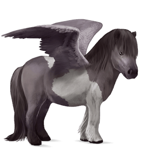 pegasus-ponny shetlandsponny musblack tobiano