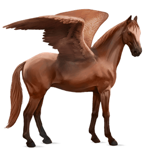 ridpegasus hannoveranare fux