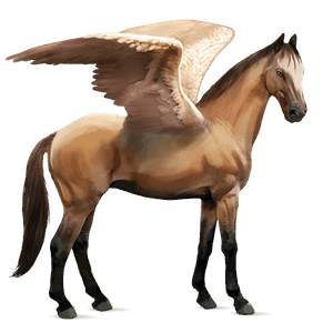 ridpegasus engelskt fullblod musblack