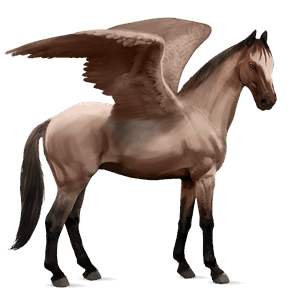 ridpegasus hannoveranare konstantskimmel