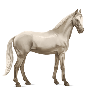 ridhäst lusitano gulbrun