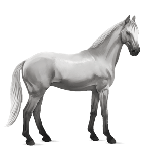 ridhäst paint horse brun tobiano