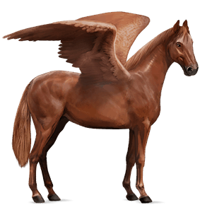 ridpegasus kwpn fux
