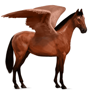 ridpegasus argentinsk criollo körsbärsbrun