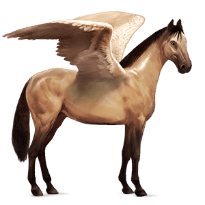 ridpegasus lusitano gulbrun