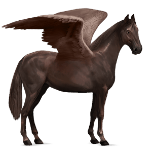 ridpegasus hannoveranare mörkbrun