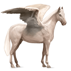 ridpegasus engelskt fullblod mörkfux