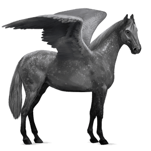 ridpegasus apelgrå