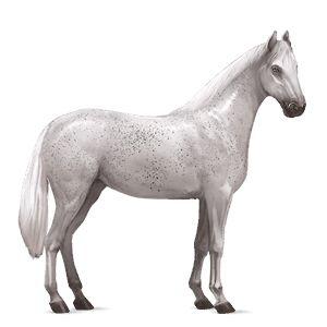 ridhäst tennessee walker avblekbar skimmel