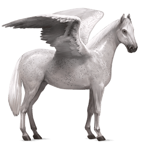 ridpegasus mustang gulbrun