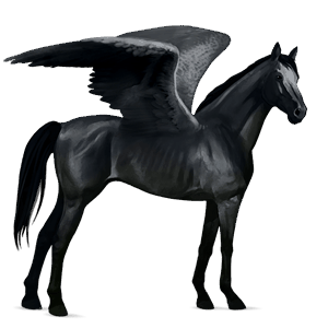 ridpegasus engelskt fullblod svart