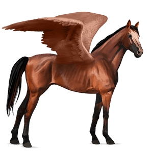 ridpegasus hannoveranare körsbärsbrun