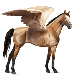 ridpegasus engelskt fullblod gulbrun