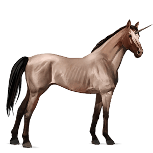 ridenhörning paint horse svart tobiano