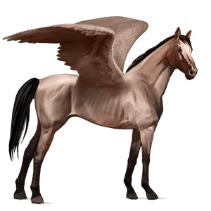 ridpegasus hannoveranare konstantskimmel