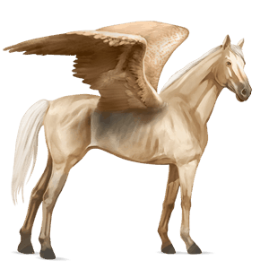 ridpegasus engelskt fullblod gulvit