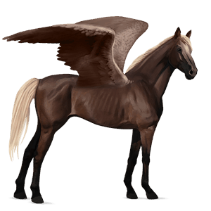 ridpegasus argentinsk criollo linfux 