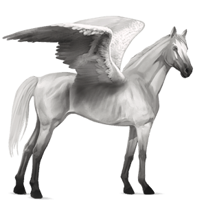 ridpegasus hannoveranare avblekbar skimmel