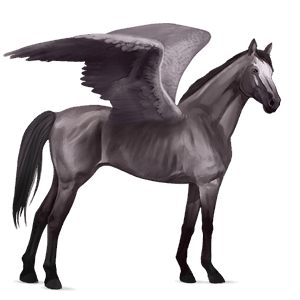 ridpegasus hannoveranare musblack