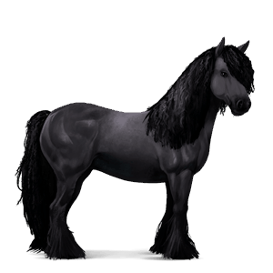 ridhäst lusitano avblekbar skimmel