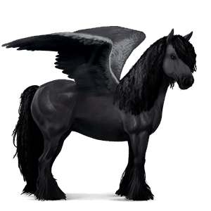 ridpegasus svart