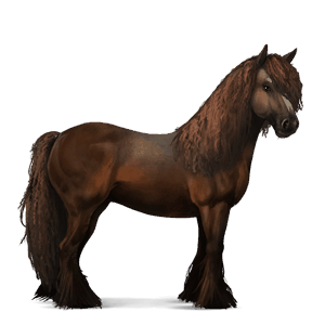 ridhäst lusitano brun