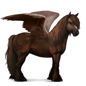 ridpegasus brun