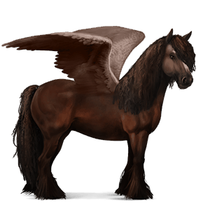 ridpegasus brun
