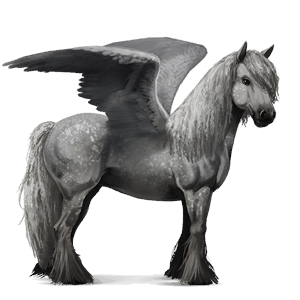 ridpegasus apelgrå