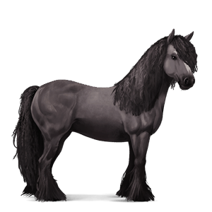 ridhäst lusitano apelgrå
