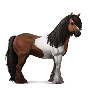 ridhäst paint horse fux tobiano