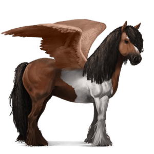 ridpegasus lusitano isabell